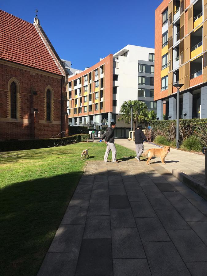 Panoramic Views In Luxurious Brand New Apartment Sydney Eksteriør bilde